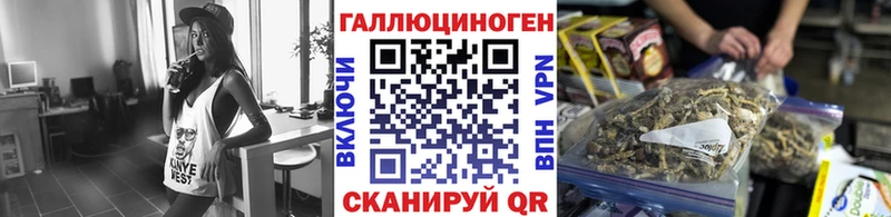 Псилоцибиновые грибы прущие грибы Дербент