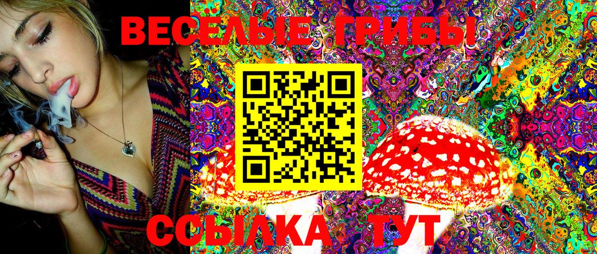 Галлюциногенные грибы Magic Shrooms Дербент