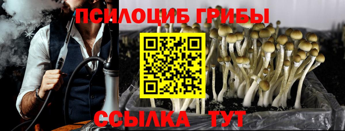 Галлюциногенные грибы MAGIC MUSHROOMS  Вход с VPN  наркота  Псилоцибиновые грибы Cubensis  Дербент 